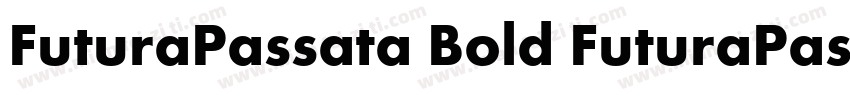 FuturaPassata Bold FuturaPassata B字体转换